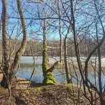 Silvarium Kaszuby Stężyca