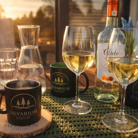 Silvarium Kaszuby Dom wakacyjny