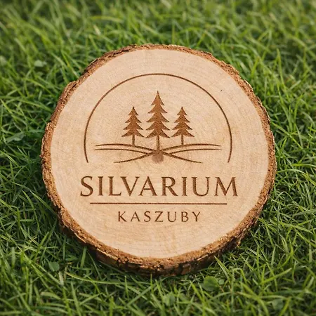 Dom wakacyjny Silvarium Kaszuby