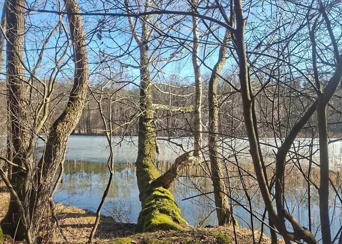 Silvarium Kaszuby Stężyca