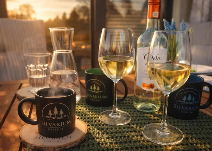 Silvarium Kaszuby Dom wakacyjny